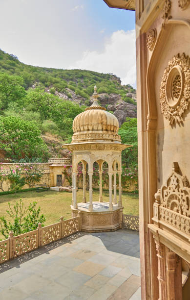 istock Gatore ki chhatriyan 1499410674