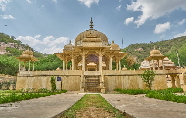 istock Gatore ki chhatriyan 1499410844