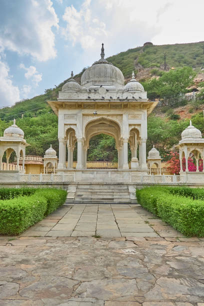 istock Gatore ki chhatriyan 1499410895