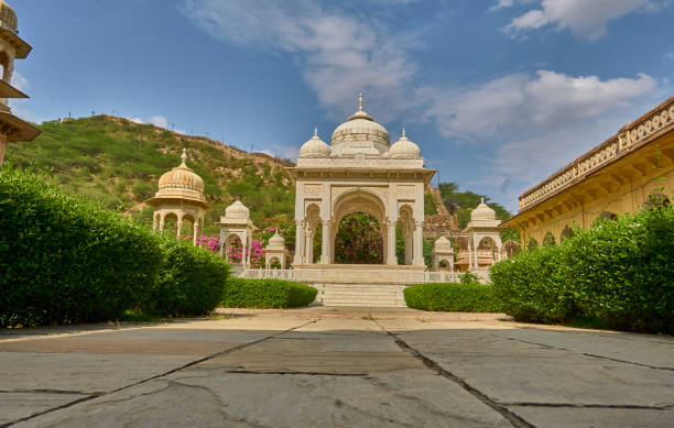 istock Gatore ki chhatriyan 1499410917