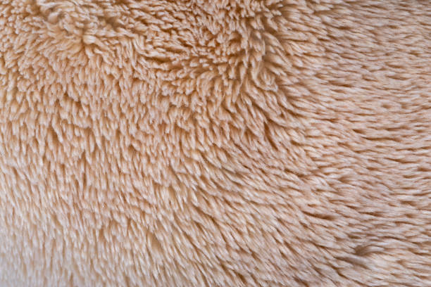 Macro photography of the surface of the blanket Macro photography of the surface of the blanket arrector pili stock pictures, royalty-free photos & images