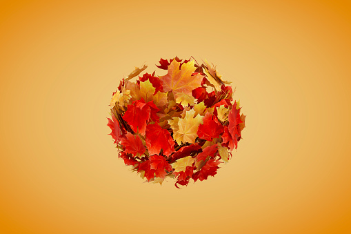 Autumn leaves flying in circle shape, orange color background, digitally generated image.