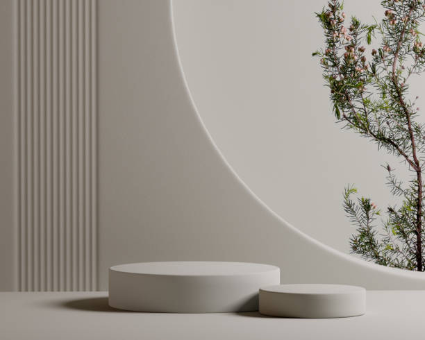 istock Minimal interior with empty podiums for product advertising with plant decoration. 3d rendering 1499421541