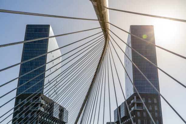 Twin modern office buildings with reflective facades behind a modern cable-stayed structure. Business architecture concept