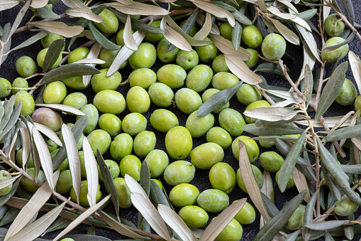 Raw olives and olive oil