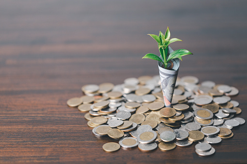 The money coin or money tree is a business growth. The business plant on coins growing with a hand pointing at money on the table. The green environment background business success in economic symbol.