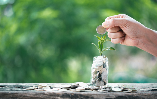 The green plant grow on coin stack is a business growth concept. The hand that is holding coin tree with some natural background is shown the business success in an investment of environmental ecology