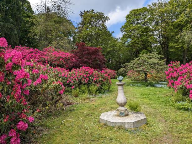 istock Colorful garden in Yorkshire, England, UK 1499434085