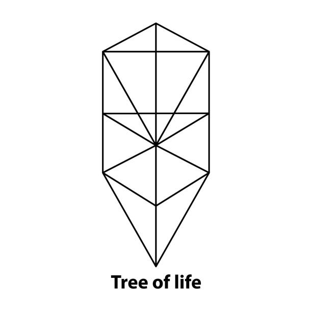 생명의 나무 벡터 아이콘 심볼 디자인입니다. 흰색 배경에 분리된 그림 - geometric shape pyramid shape three dimensional shape platonic solid stock illustrations