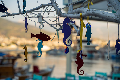 Colorful wooden decorations shaped like fish and seahorse hanging on white colored tree on sunny day in the street. Selective focus. Blurred background