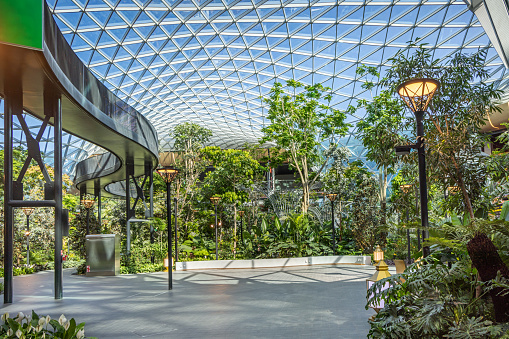 Hamad International Airport, Doha, Qatar - March 30th 2023: Interior of a modern airport terminal with a small forest