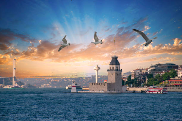 istock Seagull near Maiden Tower (kiz kulesi) 1499451846