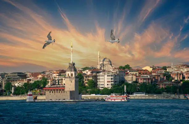 Seagull near Maiden Tower (kiz kulesi) in Istanbul at summer evening with cloudy sky.