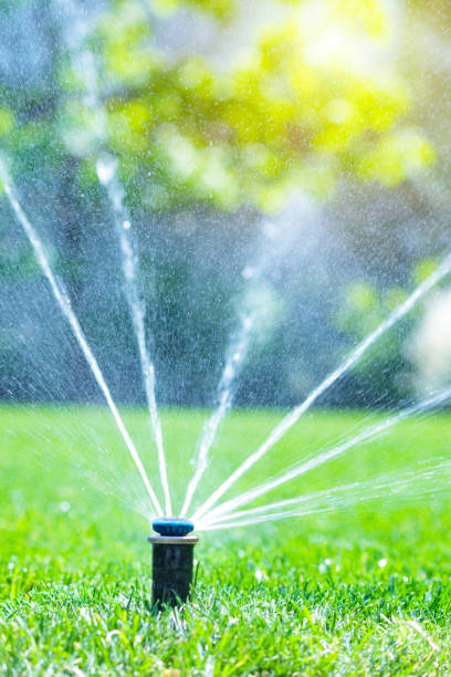 istock Irrigation system in home garden. Automatic lawn sprinkler watering green grass. Selective focus. 1499460835