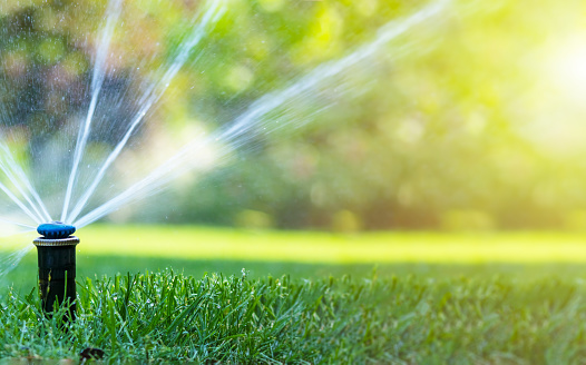 Irrigation system in home garden. Automatic lawn sprinkler watering green grass. Selective focus