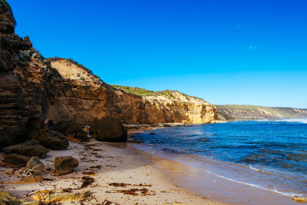 istock Fingal Beach in Mornington Peninsula Australia 1499461921