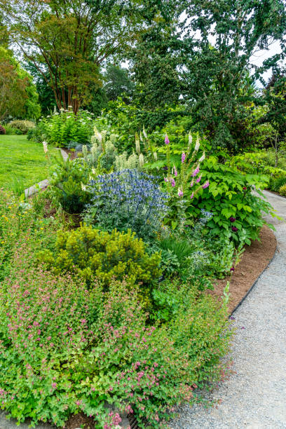 istock Garden Path Plants And Flowers 2 1499466765