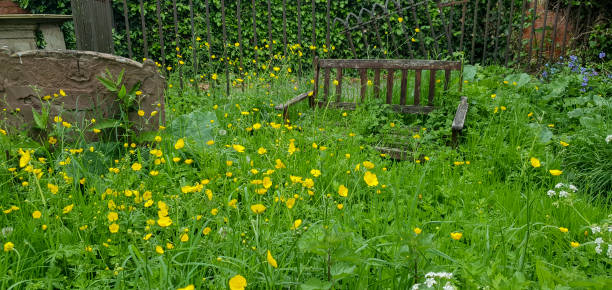 istock Overgrown graveyard Tewkesbury Gloucestershire 1499472652