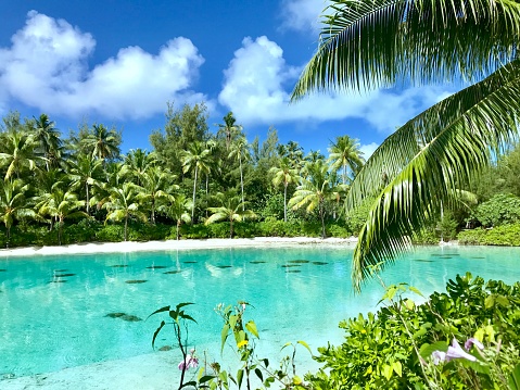 Secret Lagoon, secret cove, blue lagoon, tropical, exotic, paradise.