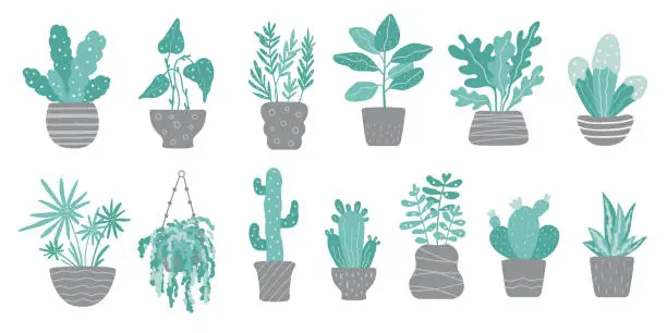 Vector illustration of Set of trendy potted home plants in scandi style.