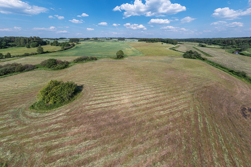 Agricultural fields on a sunny day, view from a drone