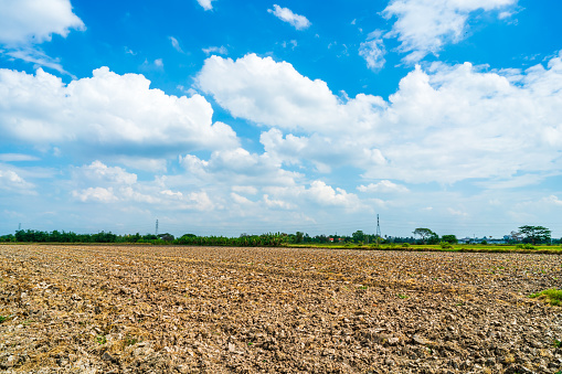 landscape scenery a meadow soil in a rice field Preparation of paddy field for sowing the rice seed with fluffy clouds blue sky daylight background.