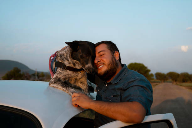 young man hugs his dog who is on the roof of a classic car while traveling at sunset. #uniqueSSelf