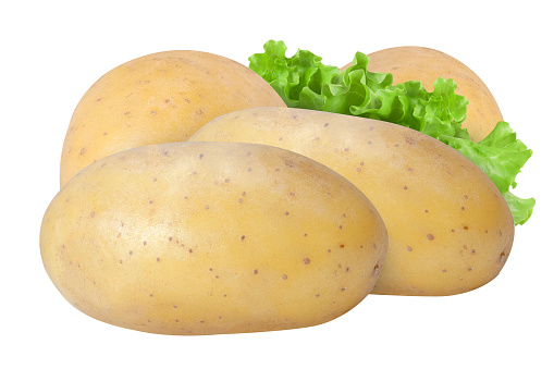 Unwashed potatoes, isolated on white background