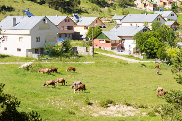 Village from Anatolia stock photo