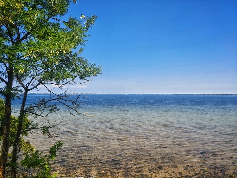 Blick auf die blaue Ostsee unter blauem Himmel im grünen Sommer an einem sonnigen Tag.
