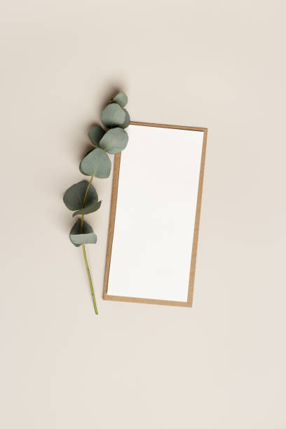 istock Blank paper card mock up and craft envelope with branches eucalyptus leaves on beige background. White empty invitation on table. Minimal modern lifestyle photo. Vertical Flat lay, top view 1499490589