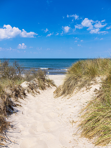 Beach access at the Baltic Sea coast near Rosenort in the nature reserve Rostocker Heide, Germany.