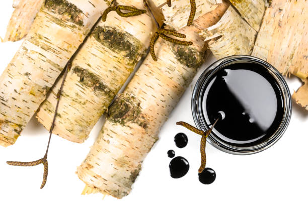 Birch tar or pitch in a jar and birch tree bark on white background. Wood tar. Liquid mineral tar from birch bark