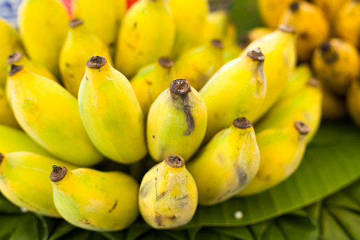 Mid seized thai bananas