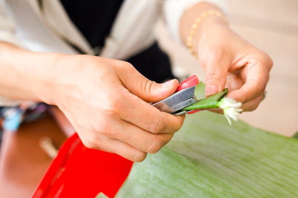 Thai woman making banana leaf decor with staple gun