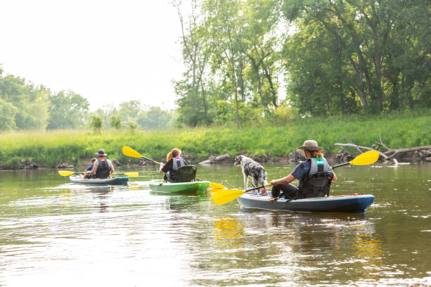 istock Family With Dog Kayaking Down Rum River in Summer 1499497352