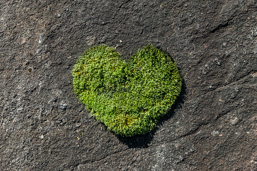 Green heart from moss on a rock