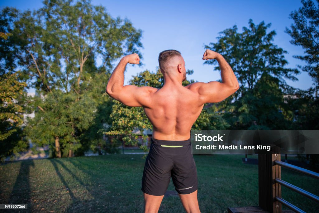 Stick Back Bodybuilder A Bodybuilder Shows Off His Back Muscles And Biceps During A Workout In ...