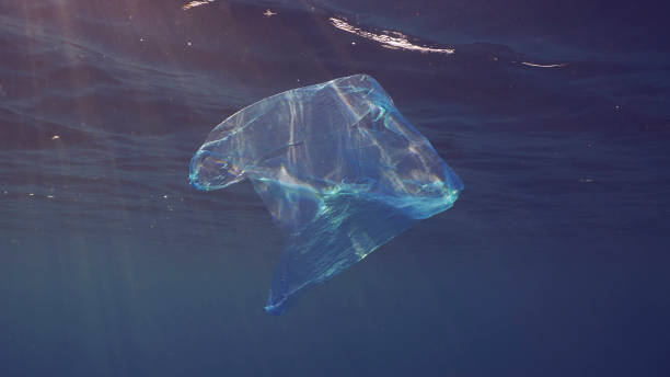 istock Disposable blue plastic bag floats under surface in blue water in sunrays. Plastic bag thrown into sea drifts under surface of blue water in morning sunlight, Red sea, Egypt 1499507991