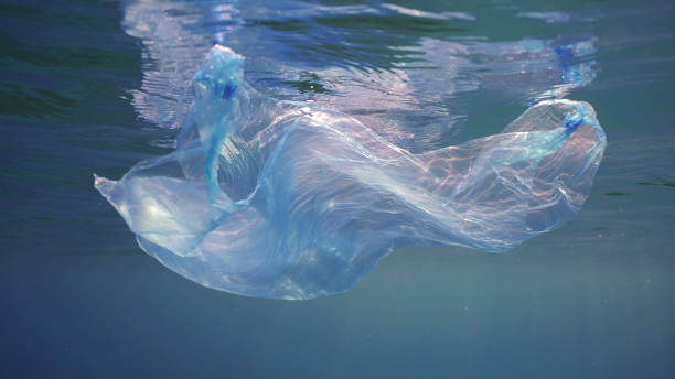 istock Disposable blue plastic bag floats under surface in blue water in sunrays. Plastic bag thrown into sea drifts under surface of blue water in morning sunlight, Red sea, Egypt 1499508077