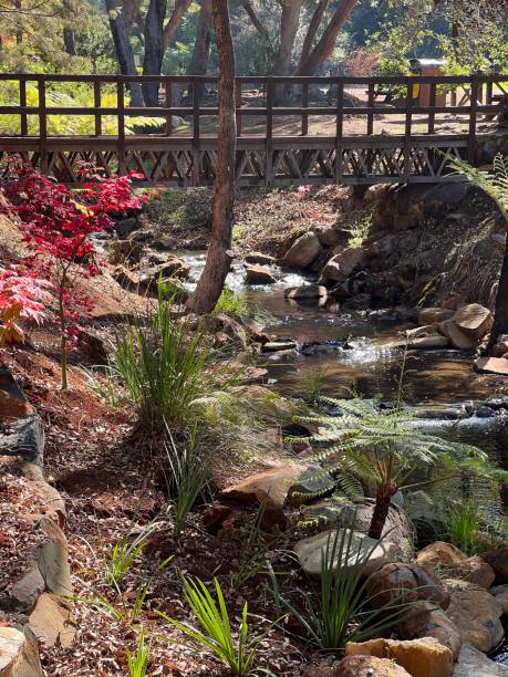 istock Araluen Botanical Park 1499509029