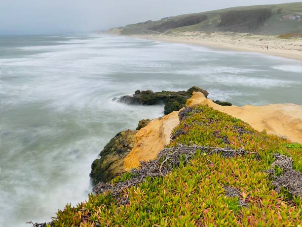 istock Coastline in California 1499514487