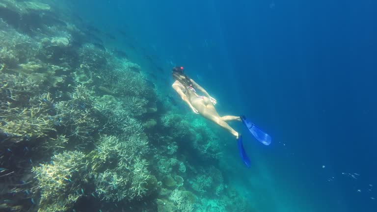 Freediver swimming underwater, exploring underwater world in Maldives