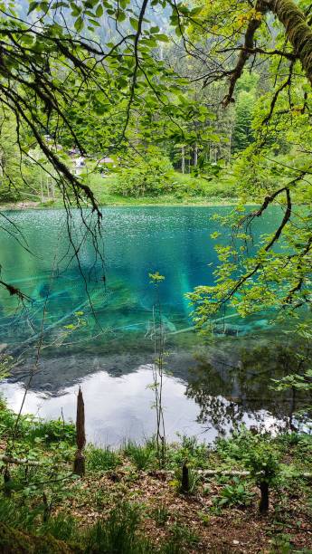istock Beautiful capture of lake 1499522167