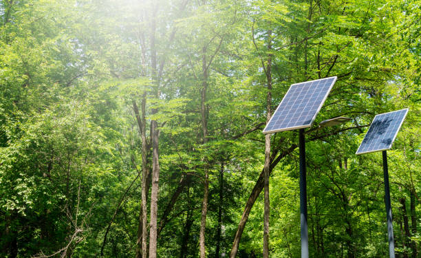 istock Green technology solar panels on background of green trees. 1499526607