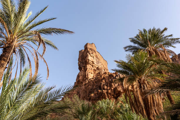 Old Aguellouy agadir in Amtoudi, an old granary, in the Anti-Atlas mountains Old Aguellouy agadir in Amtoudi, an old granary, in the Anti-Atlas mountains of Morocco sunset agadir marocco stock pictures, royalty-free photos & images