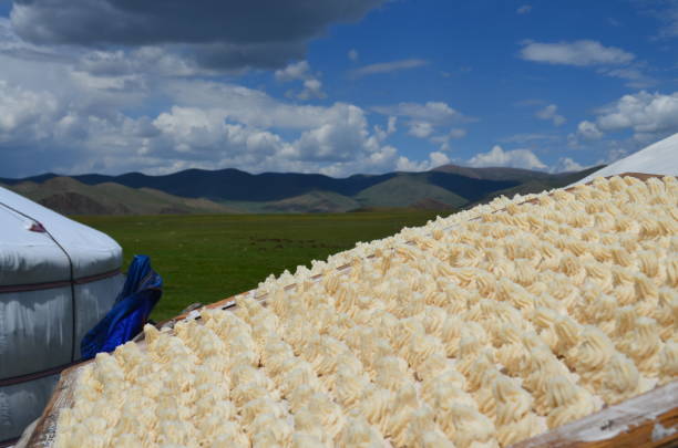Piped aarul drying in the sun on the roof of a Mongolian ger (gher), with another gher and Mongolian hills and steppe in the background.  The curds are made form yak milk in this region (Khangai).