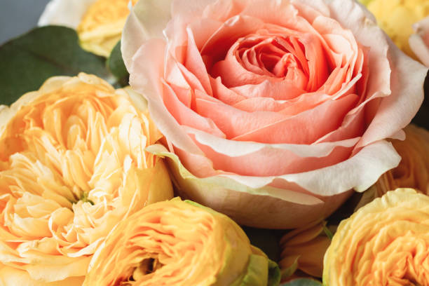 istock Rose flower gift bouquet background close-up 1499528625
