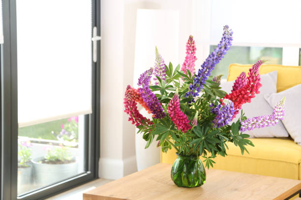 lupine flores - screen door door porch house fotografías e imágenes de stock