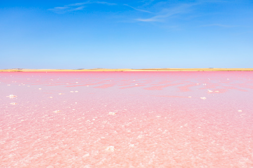 Landscape scene of salt minerals in a bright pink salt lake in the South Australian outback